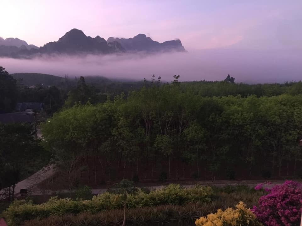 Billion Views Khaosok Homestay Khao Sok National Park Екстер'єр фото